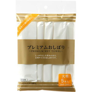 y10Zbgz V v~Aڂ 5{[21]