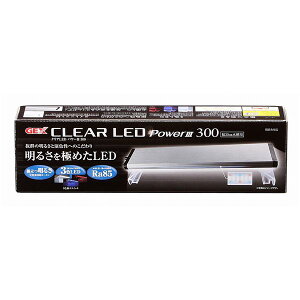 WFbNX NALED POWERIII 300 ypiz yybgpiz[21]