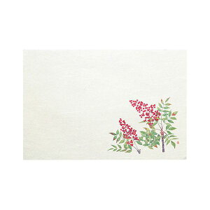 }R[ p Ɩp 3_a΂܂ lG V (50) yamaco64382[21]