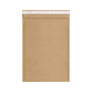 JNPCGRNbV A4p FK0409 1P[Xi100j[21]