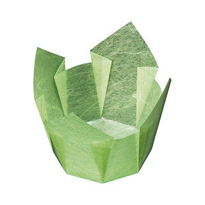 }R[ p Ɩp OP ᑐ_  (100) yamaco66403[21]