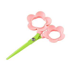 jbPn Cocone FL-20p FL-20P[21]