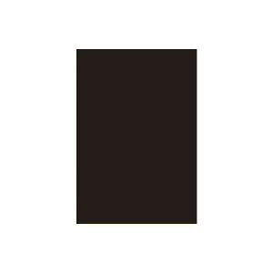 (Ɩp30Zbg)WCebNX Fp/Hp y؂ 10z Z P148J-19[21]