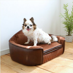 ybgp xbh \t@ p Lp PEPE yy BR uE gi ybgpiysz[21]