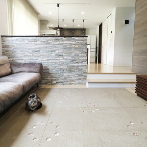 O^XNIKUKYU ^CO ĂĂ BE x[W y50×50cm^10Zbgzysz[21]