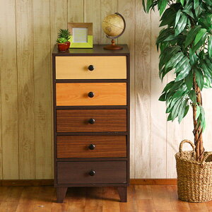 X`FXg ^X 44.5cm Jt o5t ؐ rt  EbhOf[V rO xbh[ysz[21]