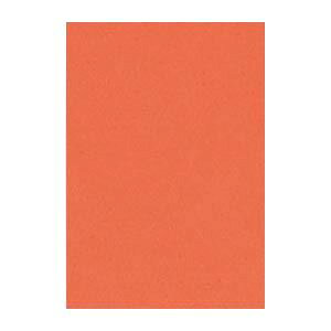 i܂Ƃ߁j ^ j[J[R c 271×c392mm 8NCR-213  100 y×2Zbgz[21]