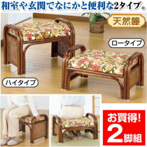 Xc[/VRق炭炭֎q2rg ynC^Cv+[^Cvz [^Cv/ʍ23cm nC^Cv/ʍ33cmysz[21]