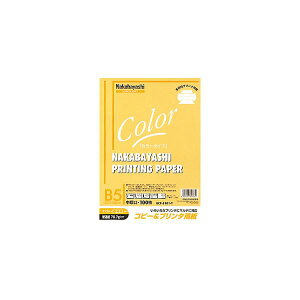 (ƖpZbg) Rs[v^p J[^Cv B5 100 HCP-5101-Yy×20Zbgz[21]