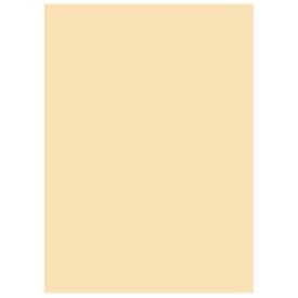 (業務用5セット) 北越製紙 カラーペーパー/リサイクルコピー用紙 【B4 500枚×5冊】 日本製 アイボリー[21]