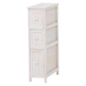 `FXg ^X 3i 20cm AeB[NzCg ؐ X o rt rO _CjO CeAƋysz[21]