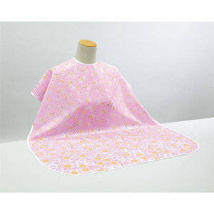 (܂Ƃ)sW HpGv ܂łHGv (1)sN(ԕ) 11241y×5Zbgz[21]