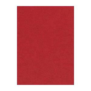 i܂Ƃ߁j ^ j[J[R lc 392×c542mm 4NCR-550  100 y×2Zbgz[21]