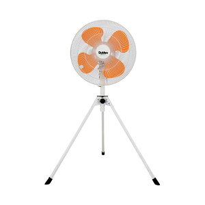 XCf ͍HXCt@ SF-45VS-1VP2[21]