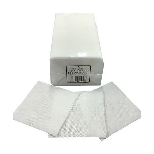 i܂Ƃ߁jfBJ fNX 20×20cm zCg FT-6200 1pbNi100jy×10Zbgz[21]