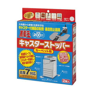 s񃉃ebNX sLX^[Xgbp[ J[ybgp FFT-012C 1pbN(2)[21]