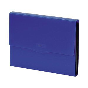 (܂Ƃ) qgu NGXgshLgt@C A4 13|Pbg  G5800-11 1 y×30Zbgz[21]