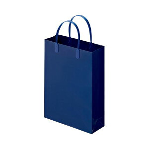 (܂Ƃ) TANOSEE ~l[gobO  R225×^e310×}`80mm  1pbNi10j y×10Zbgz[21]