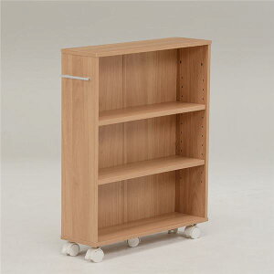 }KWbN G[ 55×s16×68cm i` LX^[t gi rO _CjO  CeAƋysz[21]