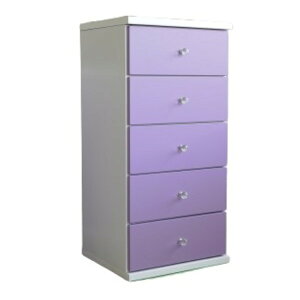 `FXg ^X 43.5cm 5i p[v XCh[t RpNg { xbh[ Q rO i[21]