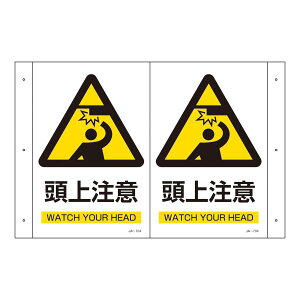 ܂ȂW 㒍 JA-704ysz[21]