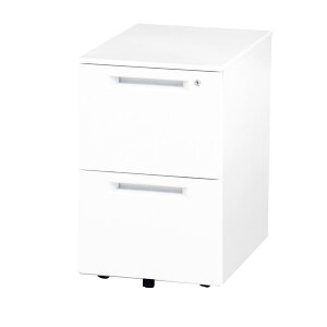 CS/TCh`FXg y2i zCgz 395×s550×615mm X`[ dؔ yg[t kItBXl iysz[21]