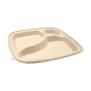 pbNX^C BB|oKXٓ N23-23B ~ 227×227×25mm 1pbN(50)[21]