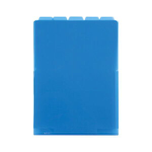 i܂Ƃ߁j ZLZC 5CfbNXz_[ A4^e^ 5Ri}`tj Rogu[ y×10Zbgz[21]