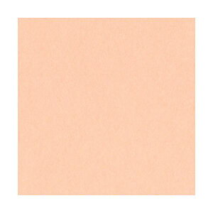 ebN j[J[R l  4NCR-103 1pbN(100)[21]