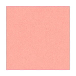 ebN j[J[R l T[ 4NCR-127 1pbN(100)[21]