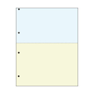 TANOSEE ėp}`^Cvv^[ J[p A4 2 4 1i2500F500×5j[21]