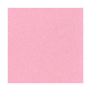 ebN j[J[R l Ƃ 4NCR-234 1pbN(100)[21]