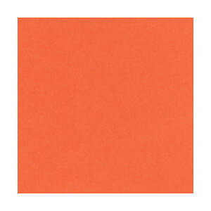 ebN j[J[R l ア 4NCR-235 1pbN(100)[21]