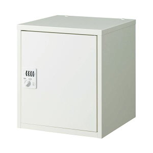 _CVH Z[teB[{bNX SC-04H zCg[21]