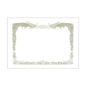 (܂Ƃ) qTS ܏gp A4R CJ170S 1(10) y×10Zbgz[21]