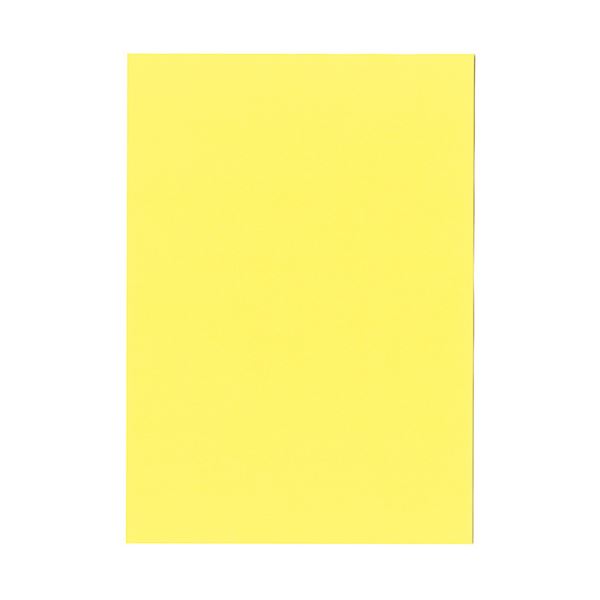 (まとめ）北越コーポレーション 紀州の色上質A3Y目 薄口 やまぶき 1箱(2000枚:500枚×4冊)[21]