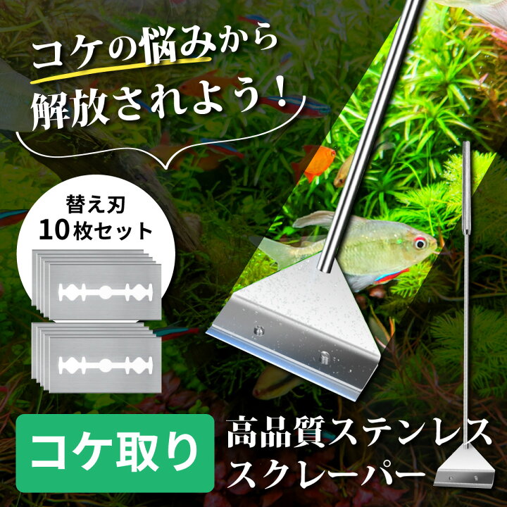 楽天市場】コケ取り 水槽 スクレーパー クリーナー ブラシ プロ 