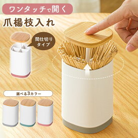 爪楊枝 ケース つまようじ 楊枝入れ キッチン リビング ダイニング テーブル 爪楊枝ケース つまようじケース つまようじ入れ 爪楊枝入れ かわいい 可愛い ワンプッシュ ワンタッチ ようじ 楊枝 楊枝入れ 蓋付 蓋付き おしゃれ 仕切り 仕切り付き 綿棒 綿棒ケース 綿棒入れ