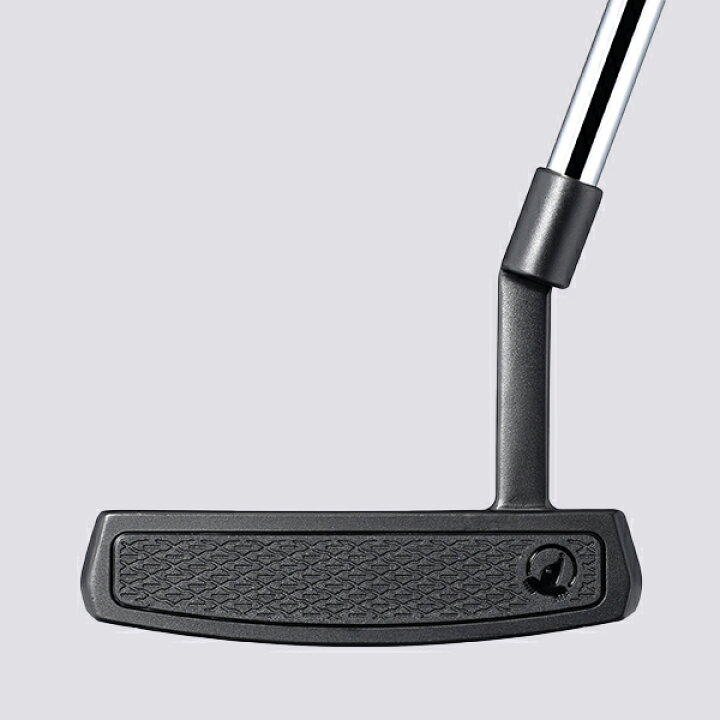 楽天市場】本間ゴルフ SAKATA LAB Putter サカタ ラボ パター 全5 