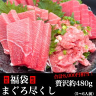 ★なくなり次第終了 贅沢約480g 天然まぐろ中トロ入り！まぐろ福袋（天然まぐろ赤身、中トロ、天然メバチ…