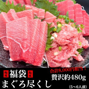 ���Ȃ��Ȃ莟��I�� �ґ��480g �V�R�܂��뒆�g������I�܂��땟�܁i�V�R�܂���Ԑg�A���g���A�V�R���o�`�܂���l�M�g���j�e160g (�V�R�܂��� �V�R �}�O�� �܂��� �� �h�g �h���g �C�N�� ��