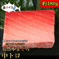 【C】★衝撃★57％OFF★（なくなり次第終了）！SALE期間中限定！天然本まぐろ中トロ柵 約480gギフト お歳…