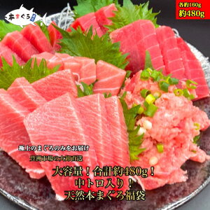 yBz{܂땟܁iԐgEgElMgZbg v480gjvڗɏ܂@̓ ̓ VR܂ VR }O ܂  hg hg CN 芪i g ؂