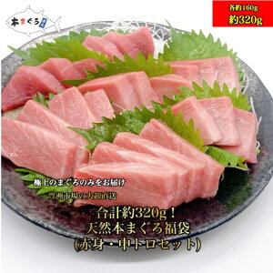 yAz{܂땟ܖ320g!vڗɏ܂IiԐgEgZbg v320gj̓ VR܂ VR }O ܂  hg hg CN 芪i g ؂g 蕨 