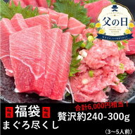 ★なくなり次第終了 贅沢約480g 天然まぐろ中トロ入り！まぐろ福袋（天然まぐろ赤身、中トロ、天然メバチ…