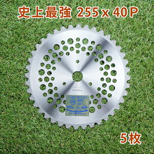 @p `bv\[ jŋ255mm×40P 5g ܂Ƃߔrn̑Epi@p ֐n @p)