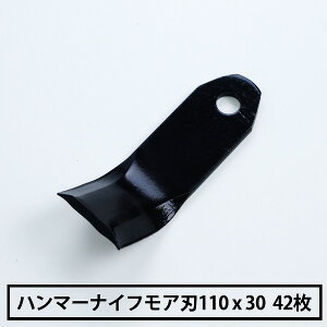 yi n}[iCtA ֐n 42 }gp 110mm×30mm