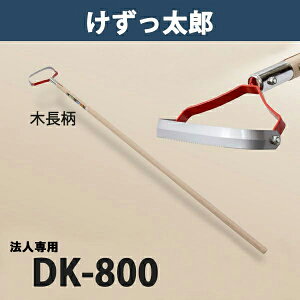 y@lizY ؕ DK-800 {iL    _ ƒ؉j