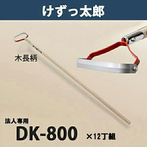 y@lizY ؕ DK-800 ܂Ƃߔ 12g {iL    _ ƒ؉j