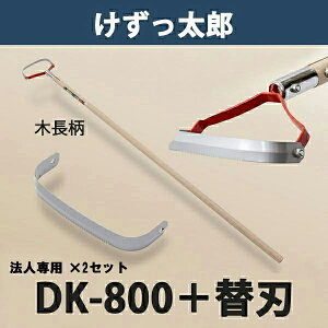 y@lizY ؕ DK-800 ֐n1t 2Zbg {iL    _ ƒ؉j